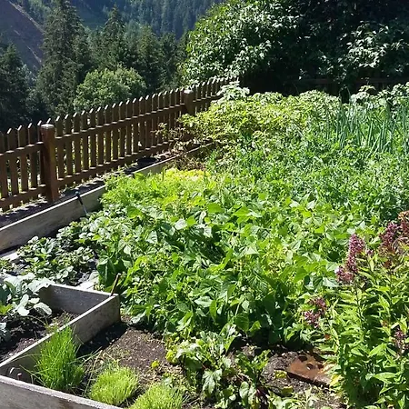 ファームステイ Doadlerhof *