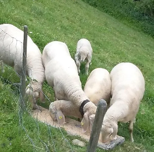Doadlerhof Neustift im Stubaital